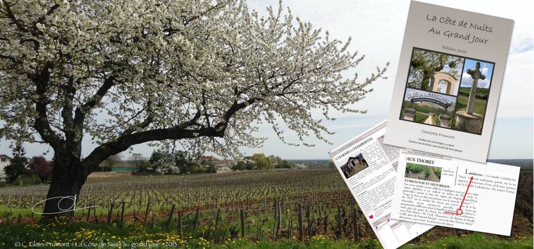 La Côte de Nuits au Grand Jour