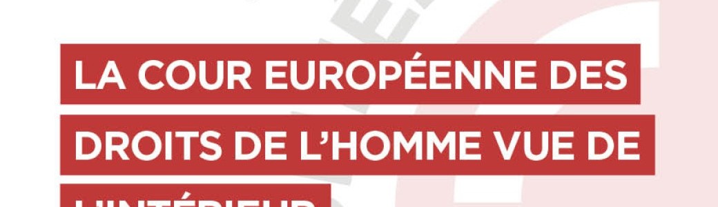 La Cour européenne des droits de l'Homme vue de l'intérieur