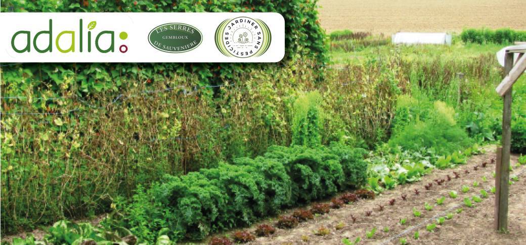 La création et gestion écologique d'un potager (conférence) La création et gestion écologique d'un potager (conférence)