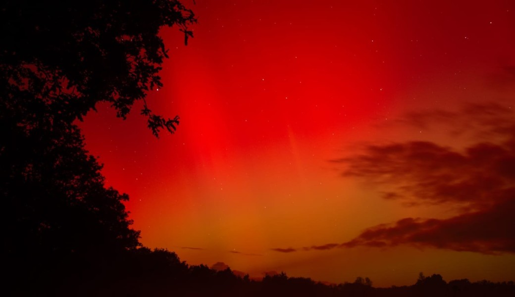 La danse des chauves-souris