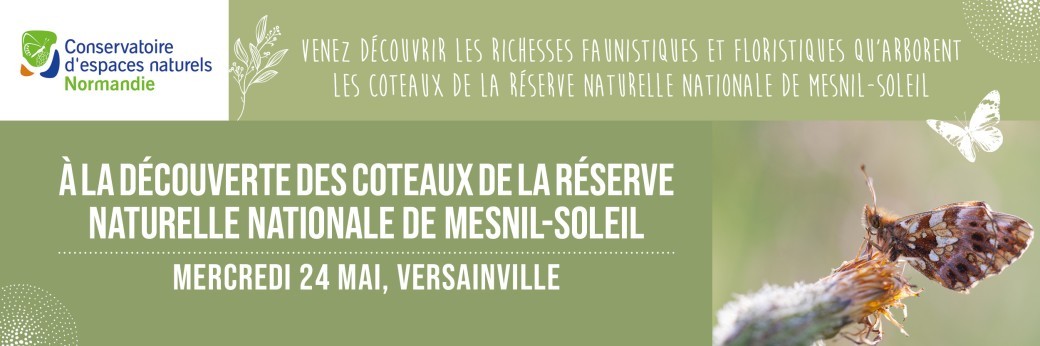 À la découverte des coteaux de la Réserve Naturelle Nationale de Mesnil-Soleil
