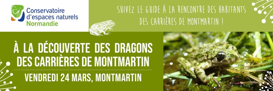À la découverte des dragons des carrières de Montmartin