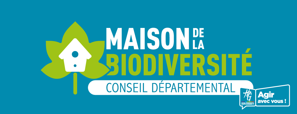 À la découverte des insectes