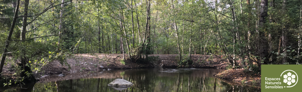 À la découverte des zones humides