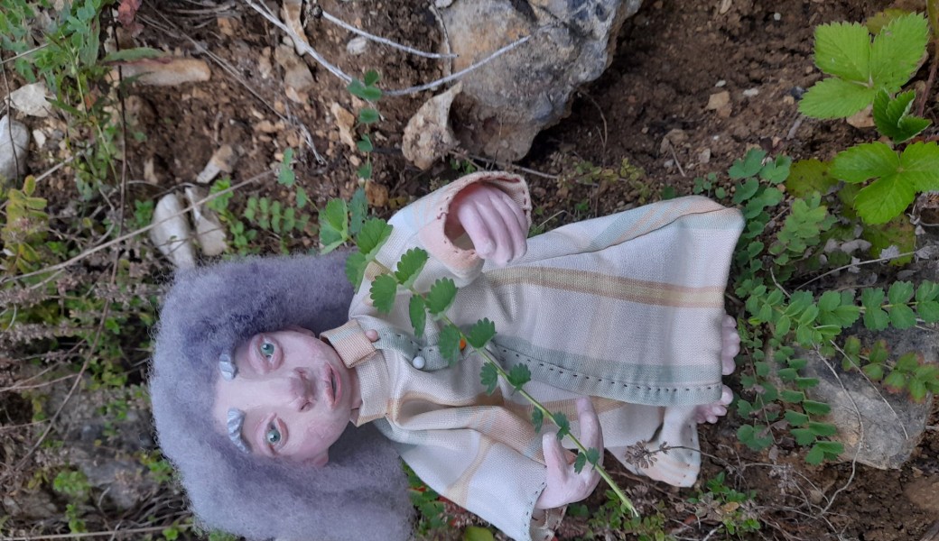 La fabrique à histoire