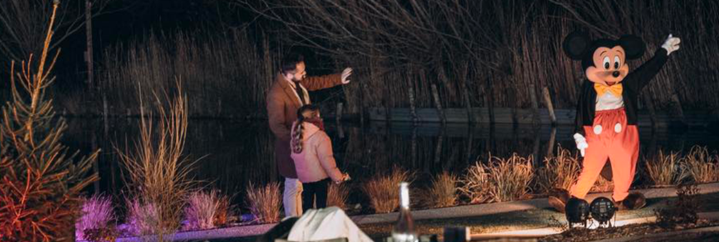 La féérie de Noël - 2026