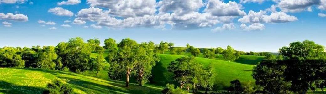 La forêt mon terrain de jeu et d'éveil 