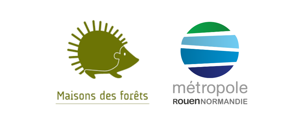 La forêt pour les 3-5 ans