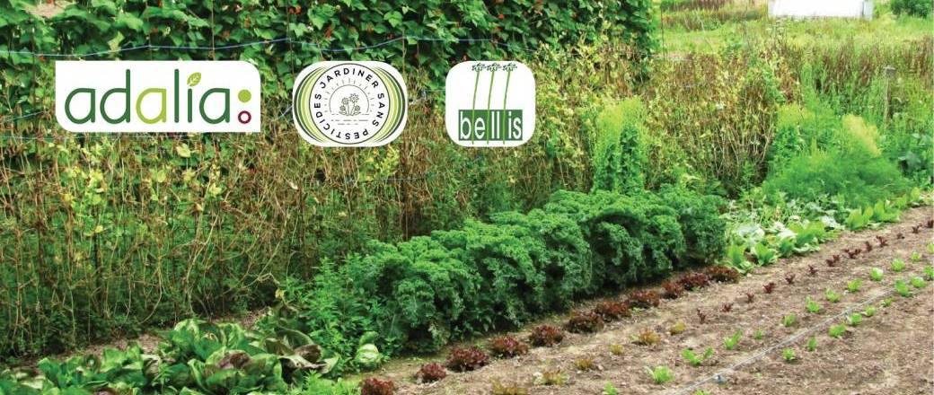 La gestion écologique des ravageurs et maladies au jardin et au potager (conférence)