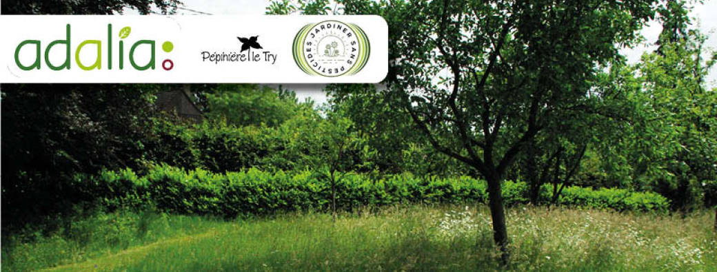 La gestion écologique du jardin (conférence)