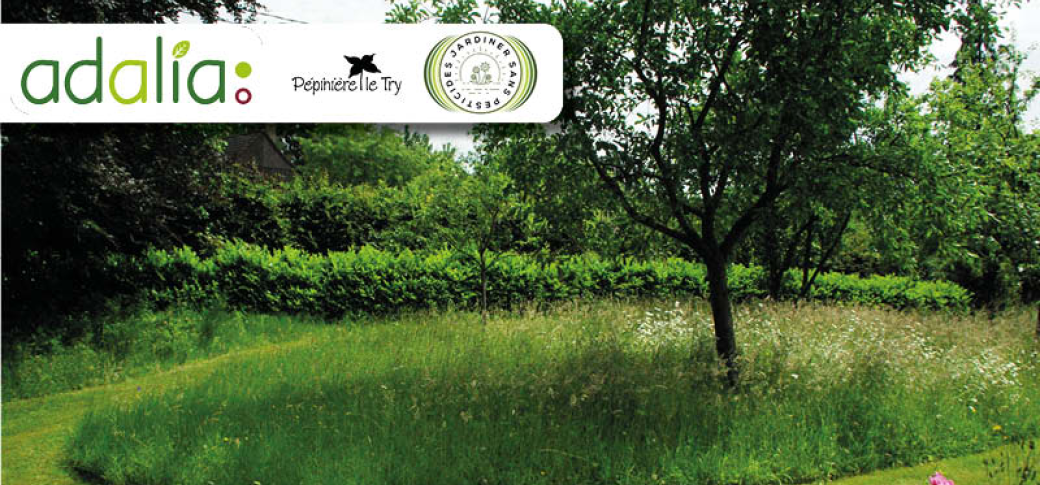 La gestion écologique d'un jardin (conférence)