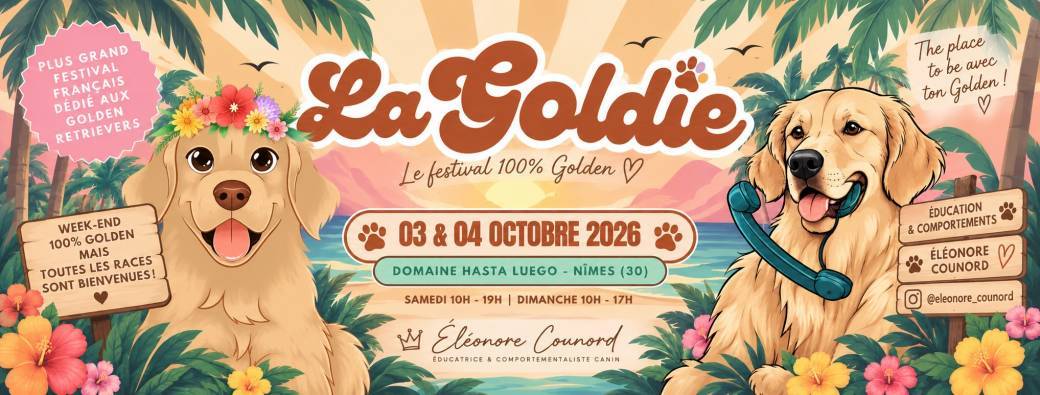 LA GOLDIE : CLICKER / PROPRIOCEPTION / PARLER CHIEN / RAPPORT D’OBJET