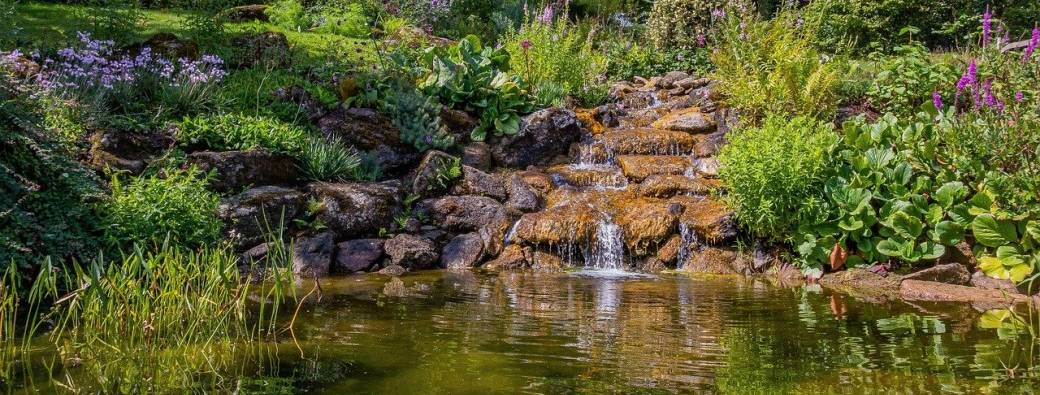 La mare écologique par Benjamin SCHILS