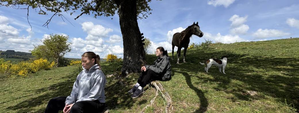 La métamorphose du papillon - Immersion Nature & Cheval 3 jours 