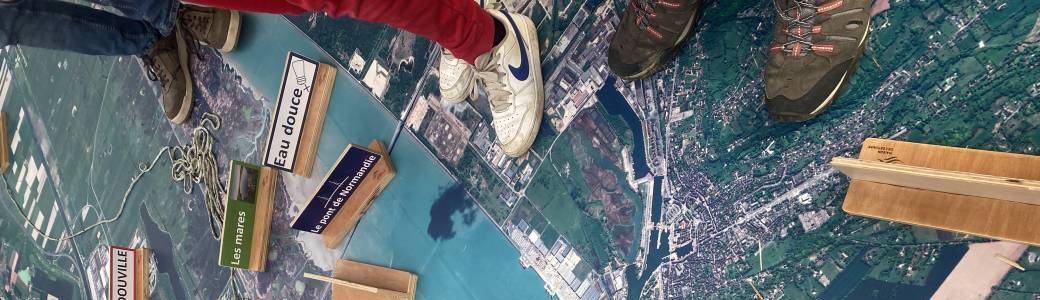 La nature et l'estuaire (animation pour les 8-12ans)