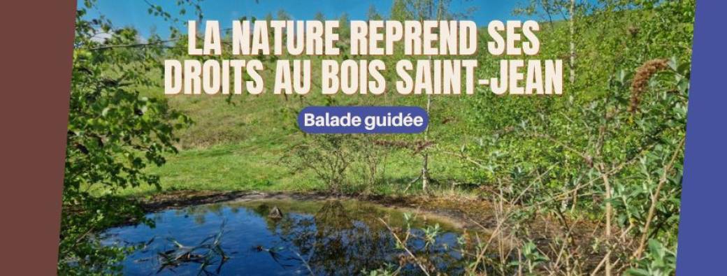 La nature reprend ses droits au Bois Saint-Jean