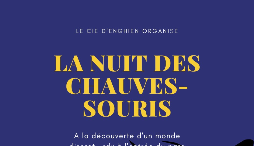 La nuit des chauves-souris