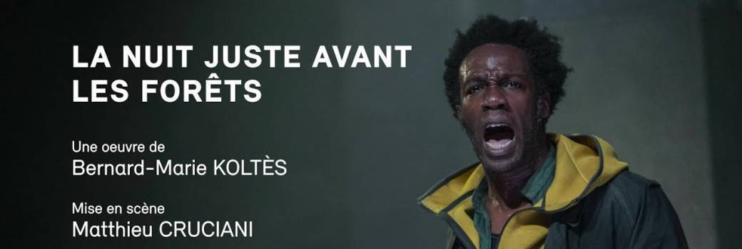 La nuit juste avant les forêts