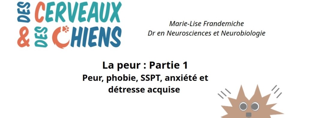 La peur chez le chien: Partie 1 