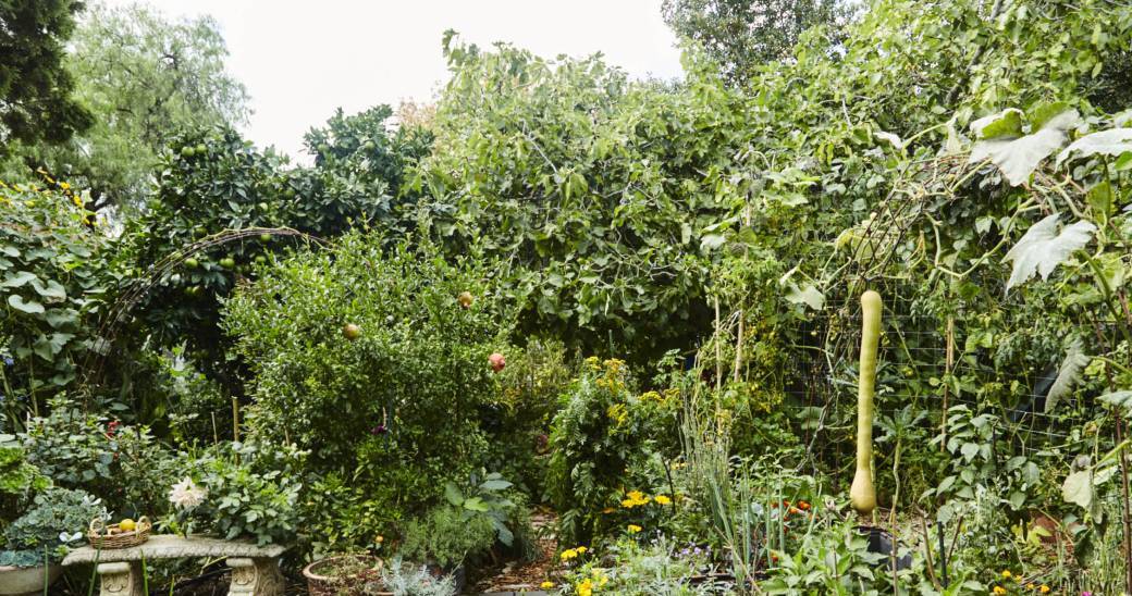 Le jardin forêt (visite de terrain)