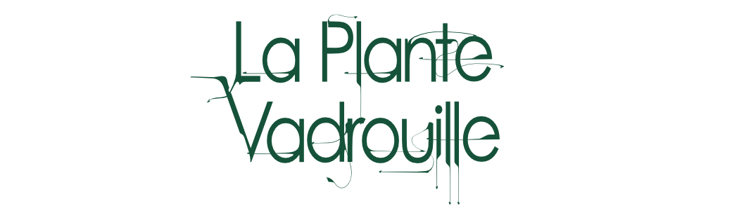 La Plante Vadrouille 2024