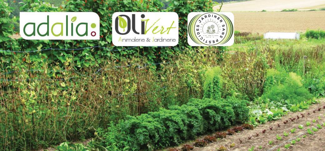 La création et gestion écologique d'un potager (conférence) La création et gestion écologique d'un potager (conférence)