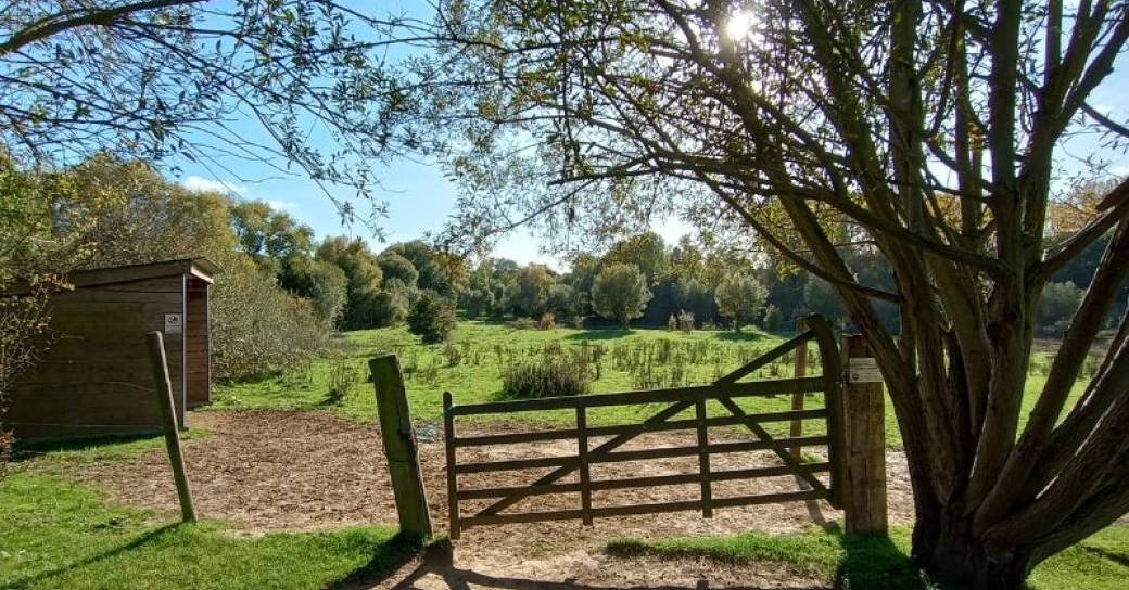 La Promenade Verte/De Groene Wandeling