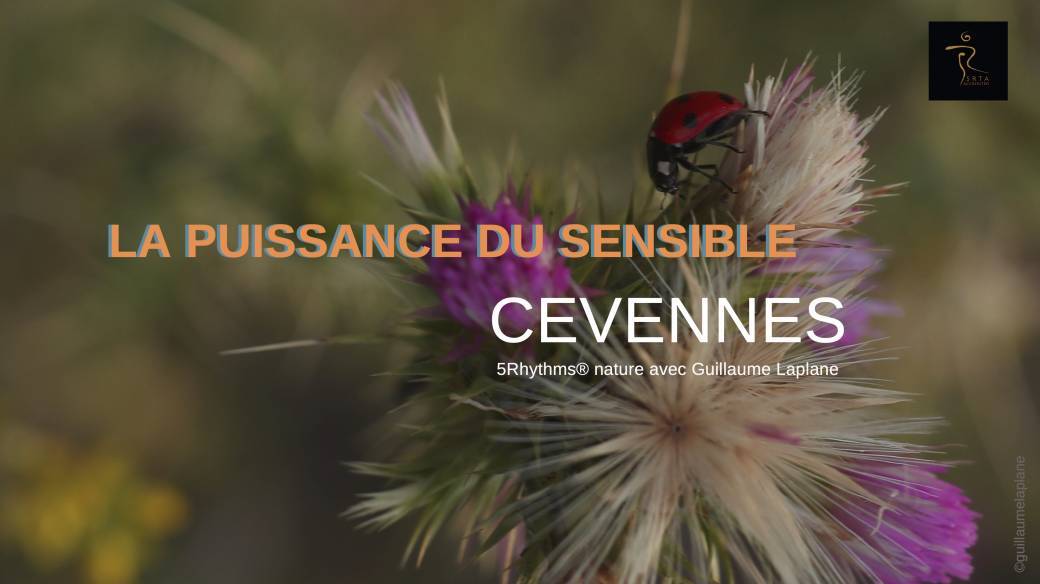 LA PUISSANCE DU SENSIBLE - CEVENNES FRANCE