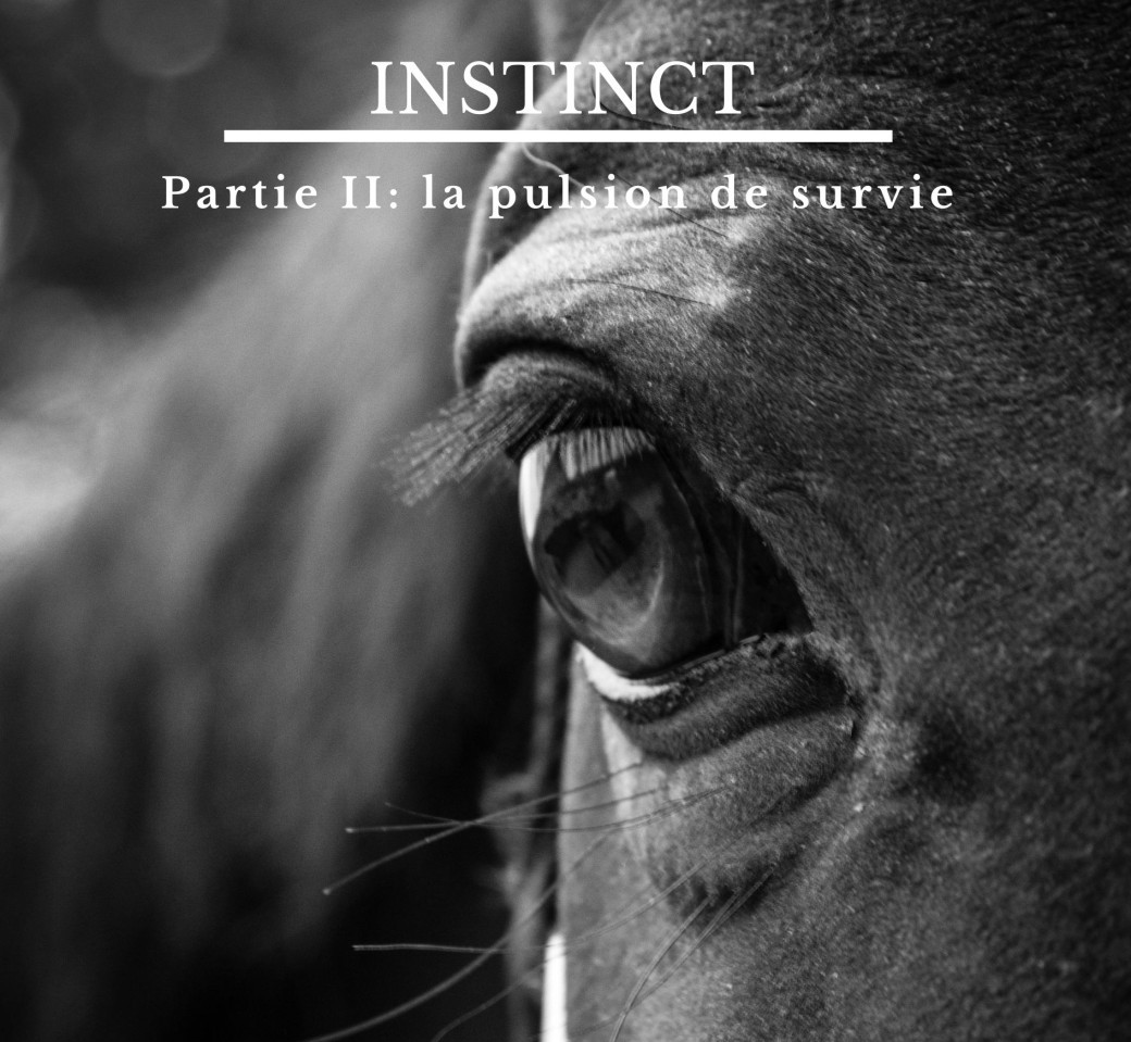 la pulsion de survie