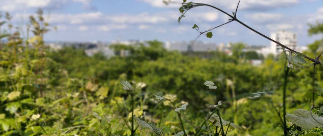 The Romainville Hike