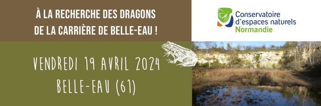 À la recherche des dragons de la carrière de Belle-Eau 19/04/2024