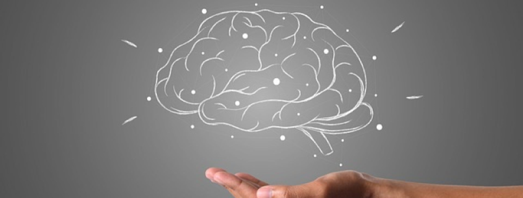 À la rencontre de notre mémoire émotionnelle