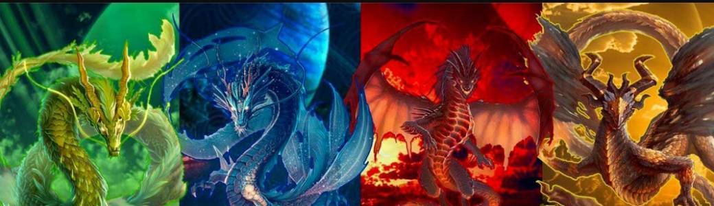 À la rencontre des dragons