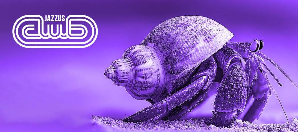 La Stratégie du Bernard l'Hermite