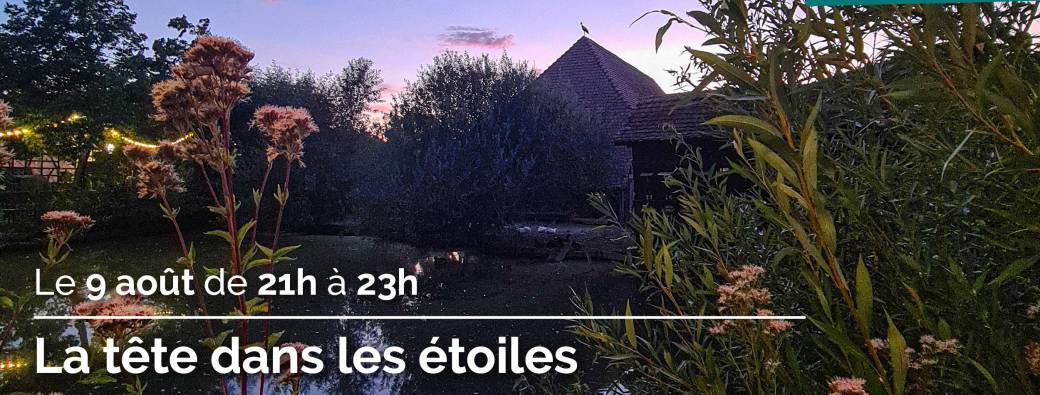 La tête dans les étoiles
