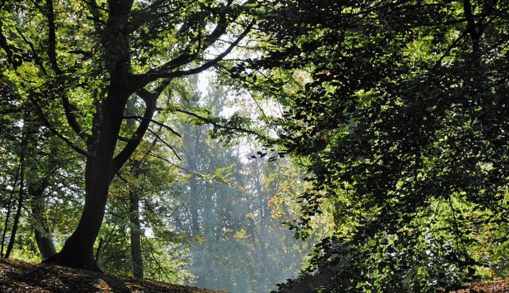 La Vallée de la Woluwe