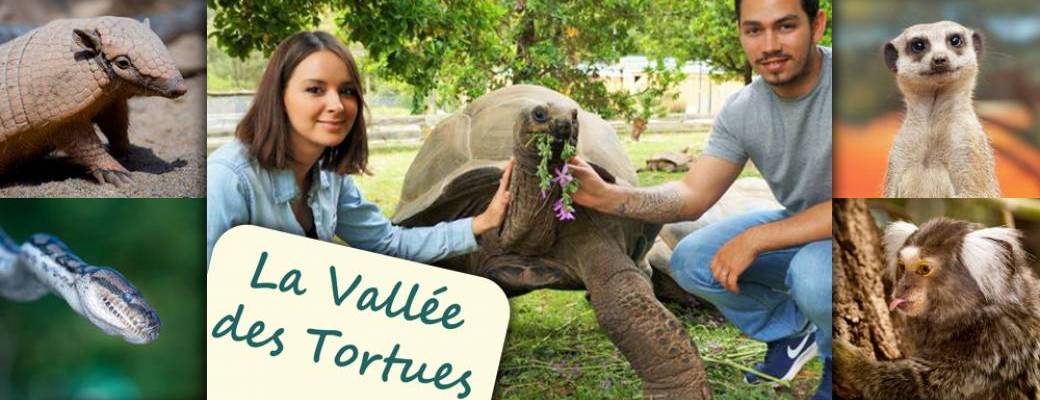 La Vallée des Tortues-Invitations