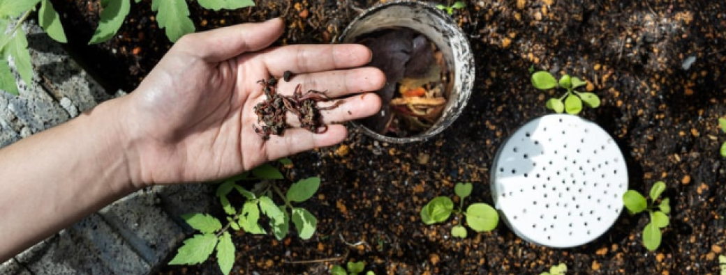 La vie du potager  4-13 ans