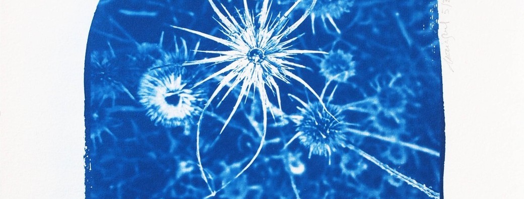Atelier découverte du cyanotype - Les Minutes Bleues