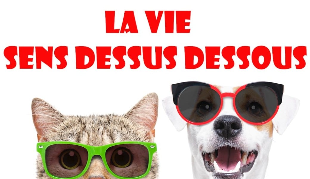 La Vie Sens Dessus Dessous : LE SPECTACLE SUR LE MONDE D’APRES