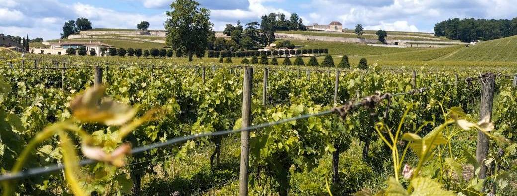 La dolce vita - Bordeaux - Saint Emilion