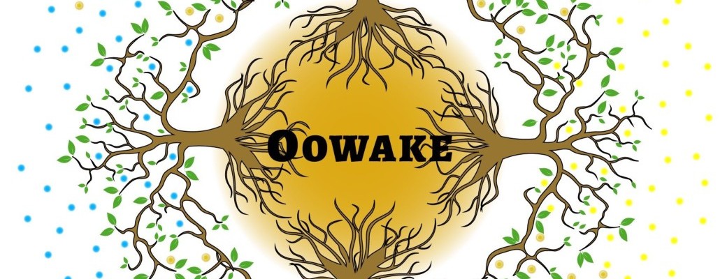 La voix du tambour à Paris novembre 2026