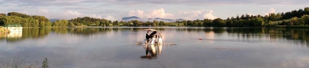 lac de Pelleautier