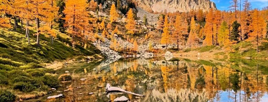 Lac des Adus et la forêt des Mélèzes 
