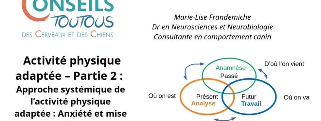 L'activité physique adaptée : Sa place dans la réeducation - Partie 2 