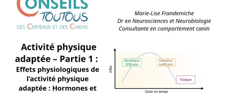 L'activité physique adaptée : Sa place dans la réeducation - Partie 1 