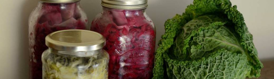 Lacto-fermentation