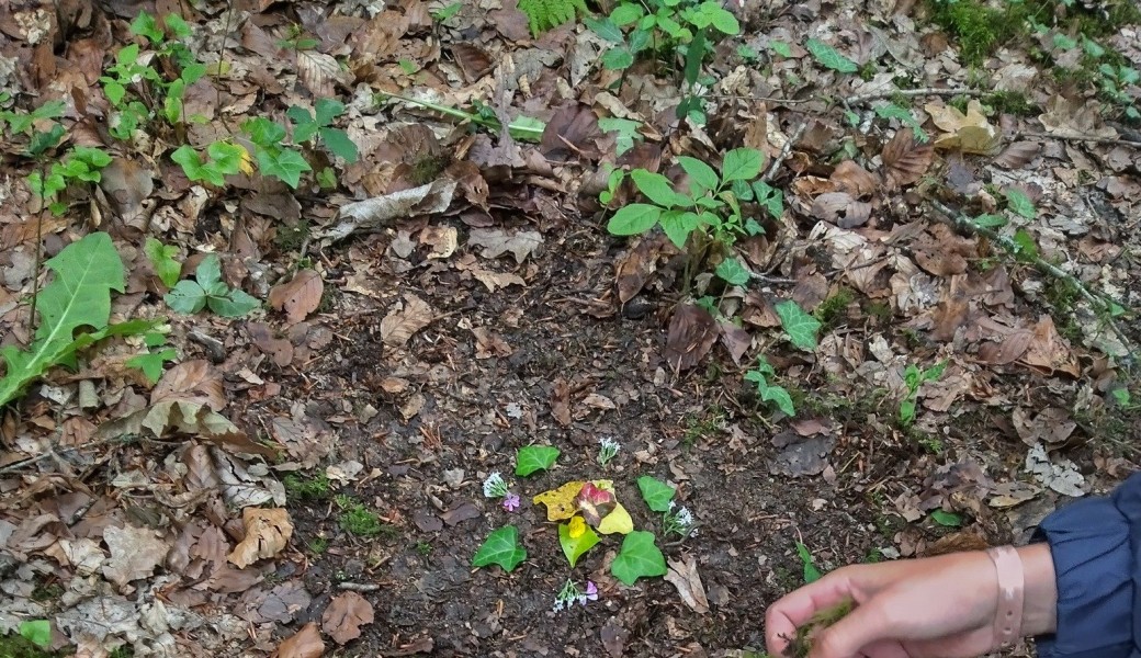 Laissez la Forêt opérer sa magie!