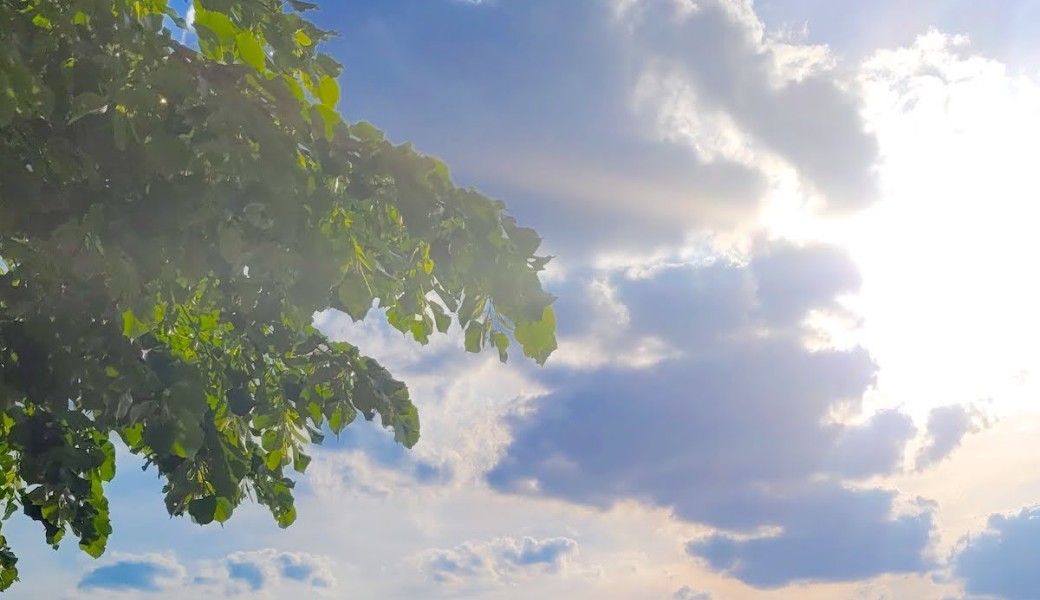 Laissez-vous surprendre par Saint-Ouen! 