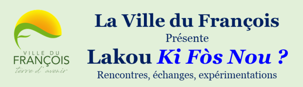 LAKOU KI FOS NOU ? BIBLIOTHEQUE DU FRANCOIS